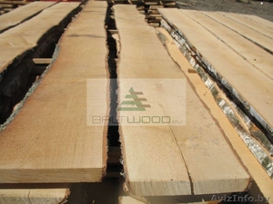 Компания из Латвии закупает оптом доски берёзы #1606849
