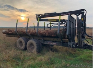 Лесовозный полуприцеп Palms 10D манипулятор 3, 67 #1601268