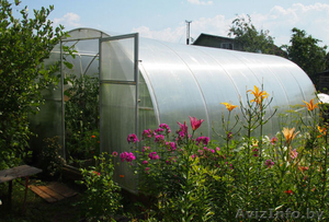 Теплица Сибирь Автоинтеллект #1611218