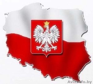 Репетитор на карту поляка #1611341