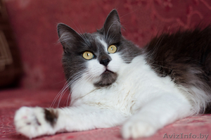 Ладушка - подарок судьбы #1609357