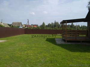 Устройство газона! Благоустройство территории! #1610446