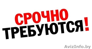 ЛЕГАЛЬНОЕ ТРУДОУСТРОЙСТВО! #1615786