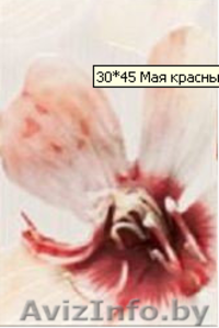 Ликвидация керамической плитки! #1616016