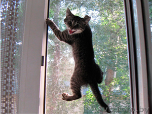 Москитные сетки по горячим ценам! #1619806