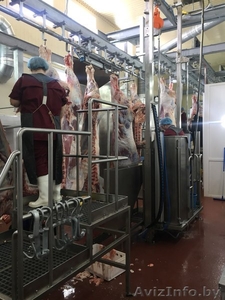 Крупный рогатый скот(коровы, быки) закупка живого скота  #1620275