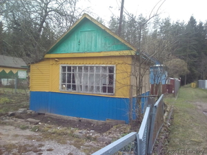 дача в шнитки-1 #1617910