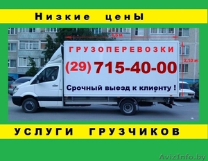 Экспресс грузоперевозки по Витебску,  РБ,  РФ. Без выходных. Недорого #1611414