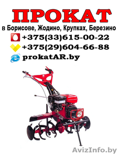 Прокат культиватора в Борисове #1623969
