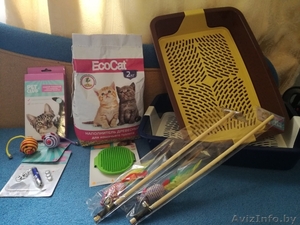 кошачьи принадлежности #1625469