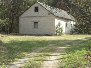 Дом в лесу на берегу Немана в экологическом заказнике.  #1562321