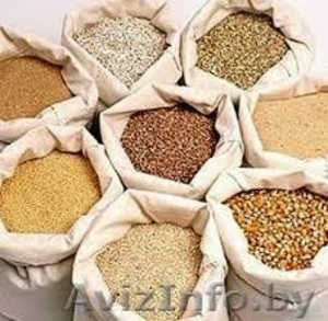 Дрожжи кормовые на основе отрубей #1628231