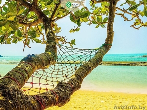 Второе Гражданство Сент-Китс и Невис #1632579