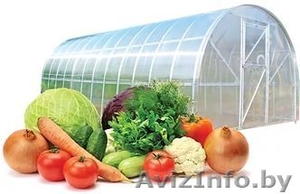 Теплицы и Парники из поликарбоната: 3х4;  3х6;  3х8;   1-ый поставщик. Доставка. #1635353