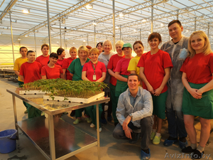 Овощевод #1635476