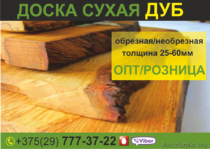 Доска сухая необрезная Дуб. Низкие цены. #1639176