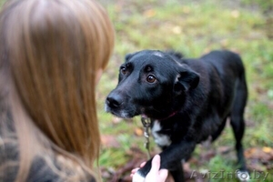 Замечательная девочка Юта в дар #1638420