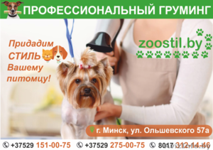 Профессиональный груминг для домашних питомцев. #1639383