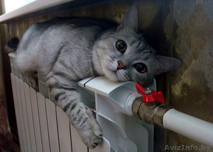 Монтаж системы отопления под ключ и поэтапно #1641426