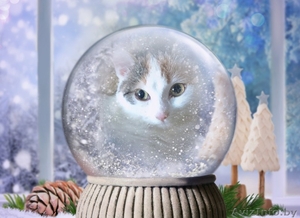 Карамельное создание с самым нежным сердечко в мире #1642011