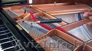 Настройщик фортепиано. #1642128