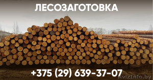 Закупаем лес кругляк #1641811