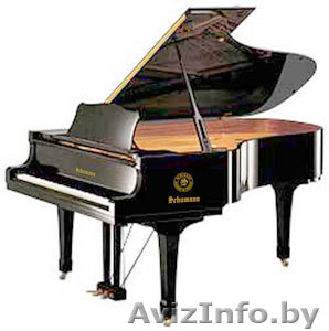 +375336262112 #1643932