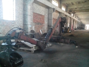 Манипулятор прибалтийский #1646697