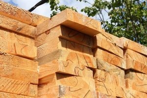 Брус 50 200 от производителя #1651595