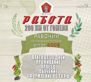 Требуются рабочие в теплицы,  оформление,  проживание #1650522