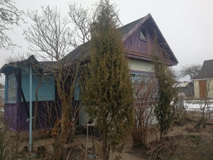 Дача Шнитки Новополоцк #1650363