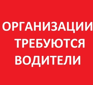 В организациюТребуются водители  #1649896