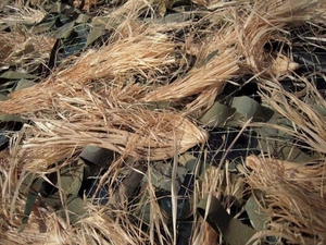 Маскировочные сети для охоты 2х3,  3х6,  4х6 метров,  фото Маскировка #1648958