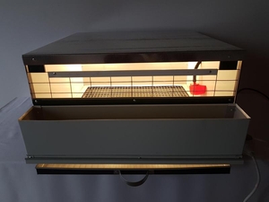 Брудер универсальный,  предназначен для содержания индюков с первых дней жизни #1652850