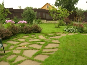 Обработка почвы,  посев газона,  озеленение #1651664