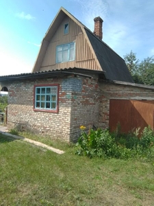 Дача.Ст.Чижовка. #1654316