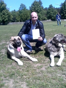 Предлагается кобель среднеазиатской овчарки (Алабай) на вязку #1652280