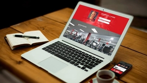 Копирование сайта,  лидогенерация. #1655796