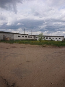 Аренда производственного помещения г. Жодино. #1653084