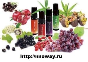 Вита спреи AliveMax #1656453