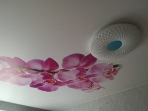 Натяжные потолки фото печать #1655404