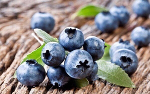 Черника свежая #1659290