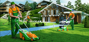 Срижка газона,  покос травы и бурьяна,  спил деревьев +375296950507 #1661181