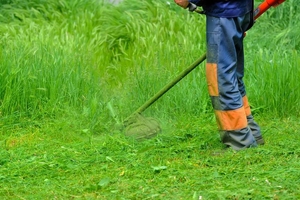 ПОКОС ТРАВЫ ОПТОМ #1661632