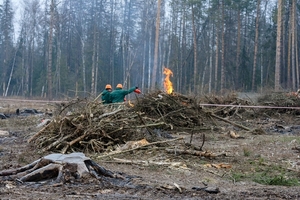 Рабочий для складирования порубочных остатков #1659855