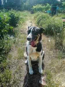 Динка-апельсинка в дар #1662445