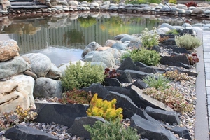 озеленение и благоустройство #1662989