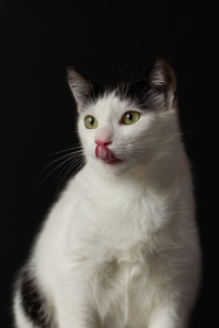 Молодая Черничка в дар #1667913