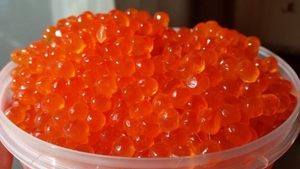 Икра кеты,  горбуши,  кижуча камчатская. #1669345