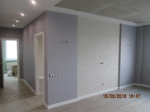 Штукатурка,  шпатлевка,  покраска. #1670163